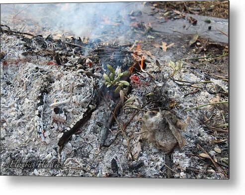  Metal Print featuring the photograph Refined by Fire by Elizabeth Harllee