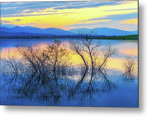Trees Metal Print featuring the photograph Reflecting at Sunset by James BO Insogna