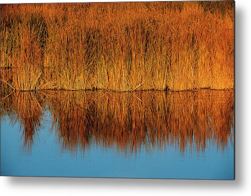 Colorado Metal Print featuring the photograph Reflection by Jim Benest