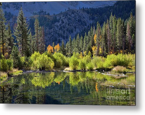 Eastern Sierra Metal Print featuring the photograph Reflections At The Beaver Pond by Mimi Ditchie