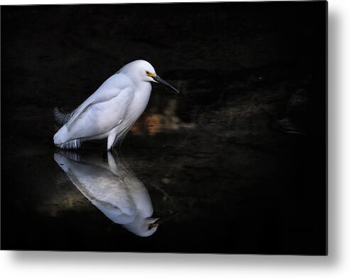 Crystal Yingling Metal Print featuring the photograph Reflections Of......... by Ghostwinds Photography