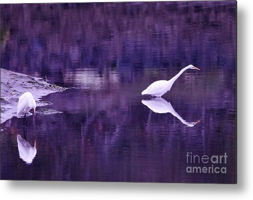 Landscape Metal Print featuring the photograph Reflections by Sheila Ping
