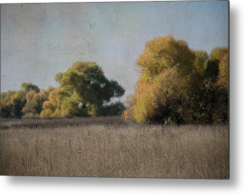 Wildlife Metal Print featuring the photograph Refuge by Patricia Dennis