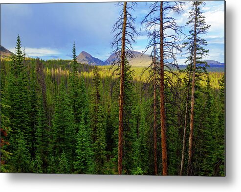 Reids Peak Metal Print featuring the photograph Reids Peak by Chad Dutson