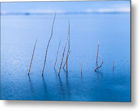 Alaska Metal Print featuring the photograph Resilient by Scott Slone