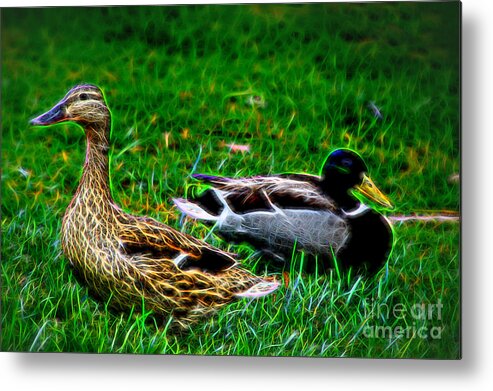Resting Ducks Metal Print featuring the photograph Resting Ducks by Mariola Bitner