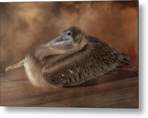 Pelican Metal Print featuring the photograph Resting on the Pier by Kim Hojnacki