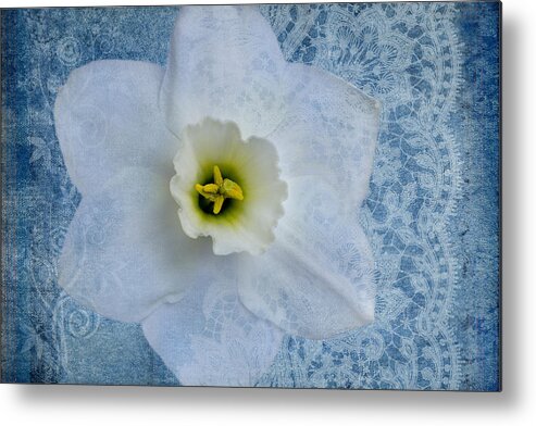 White Daffodil Flower Metal Print featuring the photograph Sapphire Lace by Marina Kojukhova