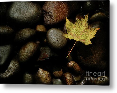River Rock Metal Print featuring the photograph River Bottom by Michael Eingle