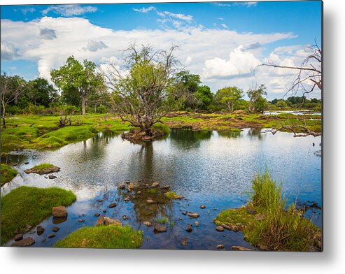 Zambezi Metal Print featuring the photograph River Oasis by Brandon Falls