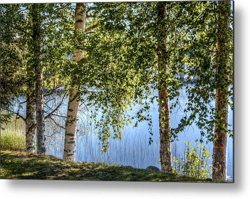 Landscape Metal Print featuring the photograph Riverside by Kristina Rinell
