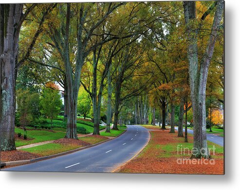 Willow Metal Print featuring the photograph Road in Charlotte by Jill Lang