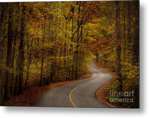 Tishomingo Metal Print featuring the photograph Road through Tishomingo State Park by T Lowry Wilson