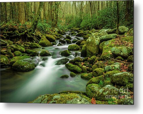 Creek Metal Print featuring the photograph Roaring Fork by George Kenhan