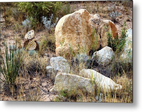 Sunrise Metal Print featuring the photograph Rock and Cacti Garden by Tikvah's Hope