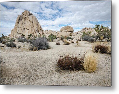 Joshua Tree Metal Print featuring the photograph Rock Tower No.2 by Margaret Pitcher