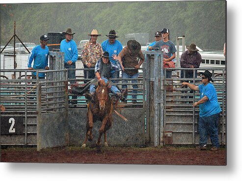 Rodeo Metal Print featuring the photograph Rodeo Bronco by Lori Seaman