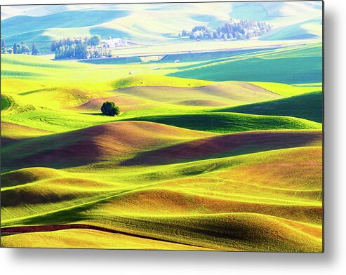 Landscape Metal Print featuring the photograph Rolling wheat field - Palouse by Hisao Mogi