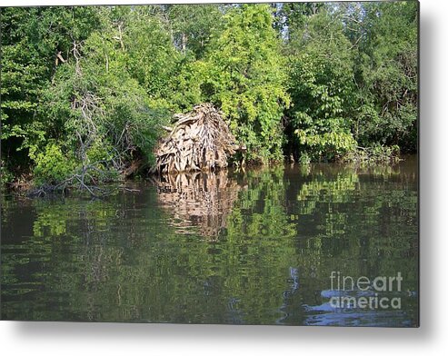 Tree Roots Metal Print featuring the photograph Roots in the Stream by Deborah Selib-Haig