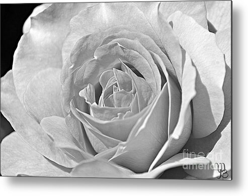 Rose Metal Print featuring the photograph Rose In Black And White by Mindy Bench