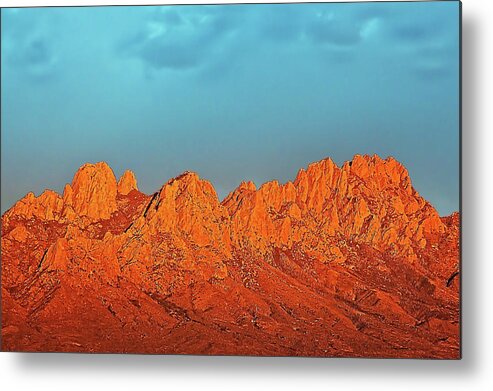 Organ Mountains Metal Print featuring the photograph Rose Mountains by Mike Stephens