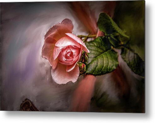 Rose Metal Print featuring the mixed media Rose on Paint #g5 by Leif Sohlman