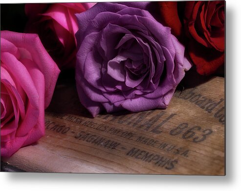 Roses Metal Print featuring the photograph Rose Series 2 by Mike Eingle