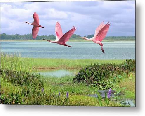 Birds Metal Print featuring the digital art Roseate Spoonbills of Florida Bay by M Spadecaller