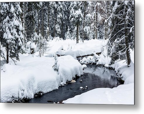 Naure Metal Print featuring the photograph Rotenbeek, Harz by Andreas Levi