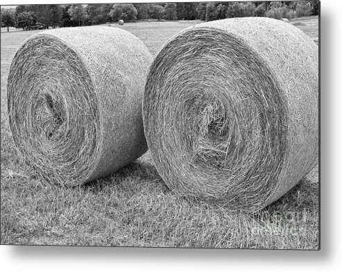 Hay Metal Print featuring the photograph Round Hay Bales Black and White by James BO Insogna