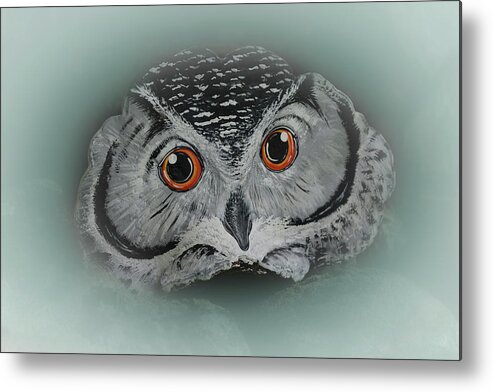 Owl Metal Print featuring the photograph Precocious Owl #2 by Jeff Cooper