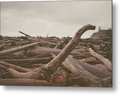 Beach Metal Print featuring the photograph Ruby Beach No. 10 by Desmond Manny