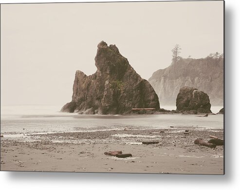 Beach Metal Print featuring the photograph Ruby Beach No. 17 by Desmond Manny