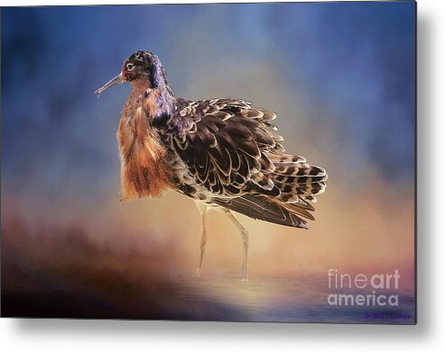 Ruff Metal Print featuring the photograph Ruff by Eva Lechner