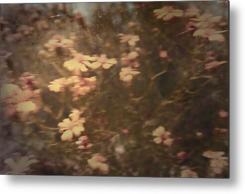 Flowers Metal Print featuring the photograph Runner by Mark Ross