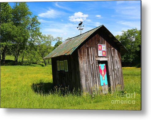 Barn Metal Print featuring the photograph Rural Panache by Marty Fancy