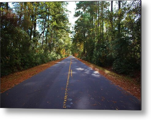 Road Metal Print featuring the photograph Rural Road by Cynthia Guinn