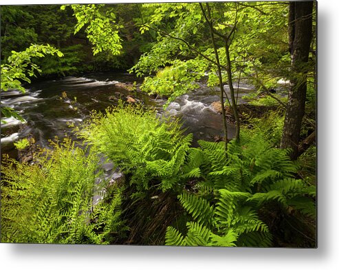 River Metal Print featuring the photograph Sackville River In Late Spring #1 by Irwin Barrett