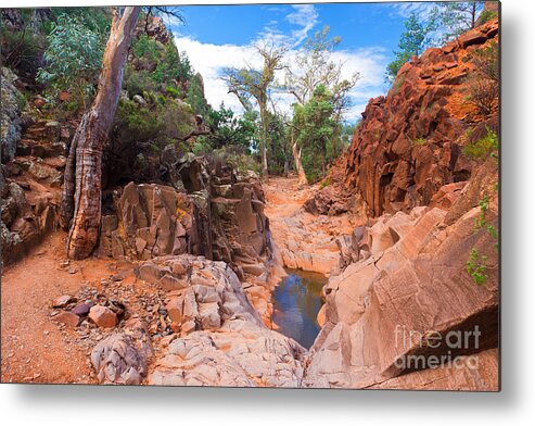 Sacred Canyon Flinders Ranges South Australia Australian Landscape Landscapes Outback Gum Trees Tree Water Erosion Metal Print featuring the photograph Sacred Canyon by Bill Robinson