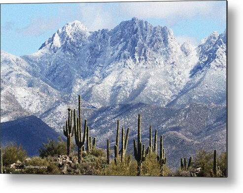 Saguaros At Four Peaks With Snow Metal Print featuring the photograph Saguaros At Four Peaks With Snow by Tom Janca