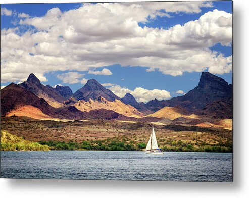Sailing Metal Print featuring the photograph Sailing In Havasu by James Eddy