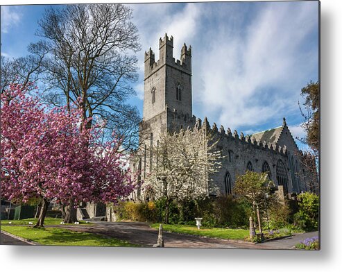 Limerick Metal Print featuring the photograph Saint Mary's Cathedral in Spring by Pierre Leclerc Photography
