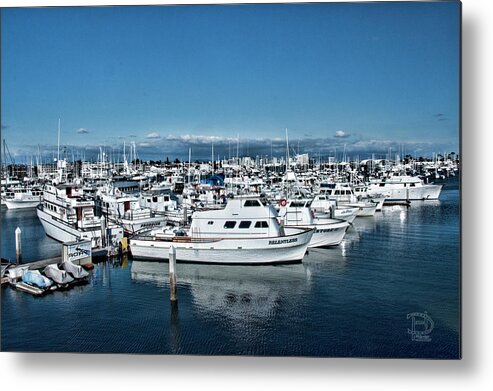 Land And Sea Scape Of San Diego Marina And Skyline Metal Print featuring the photograph San Diego Marina and City Skyline by Daniel Hebard