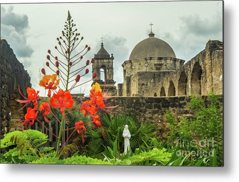 San Antonio Metal Print featuring the photograph Mission San Jose with Pride of Barbados by Michael Tidwell