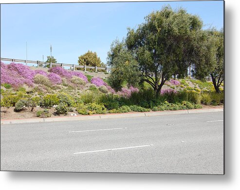 Springtime Metal Print featuring the photograph Santa Clara Highway by Carolyn Donnell
