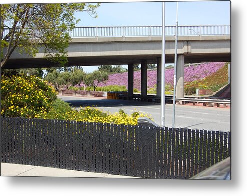 Springtime Metal Print featuring the photograph Santa Clara Highways by Carolyn Donnell