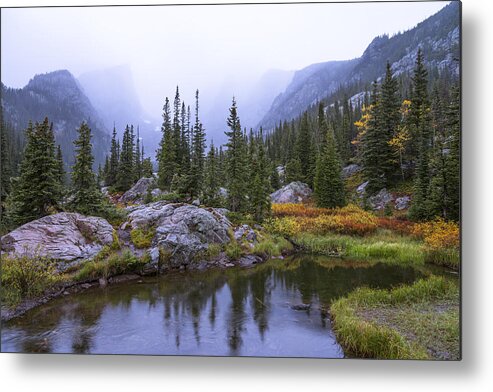 Saturated Forest Nature Forest Wilderness Wild Rocky Mountain National Park Rmnp Colorado American West West Rocky Rockies Mountain Mountains Tree Trees Pine Pines Pond Lake Light Reflection Storm Rain Fall Autumn Season Landscape Waterscape Forestscape Overcast Chad Dutson Saturation Wet Metal Print featuring the photograph Saturated Forest by Chad Dutson