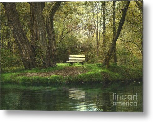 Bench Metal Print featuring the photograph Saturday Afternoon by Jan Piller