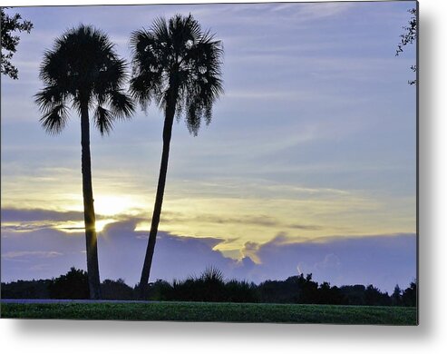 Palms Metal Print featuring the photograph Savanna Sunrise by Don Youngclaus