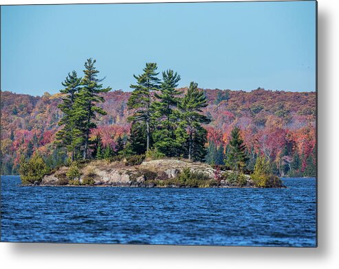 Fall Metal Print featuring the photograph Scenic Fall View by Paul Freidlund